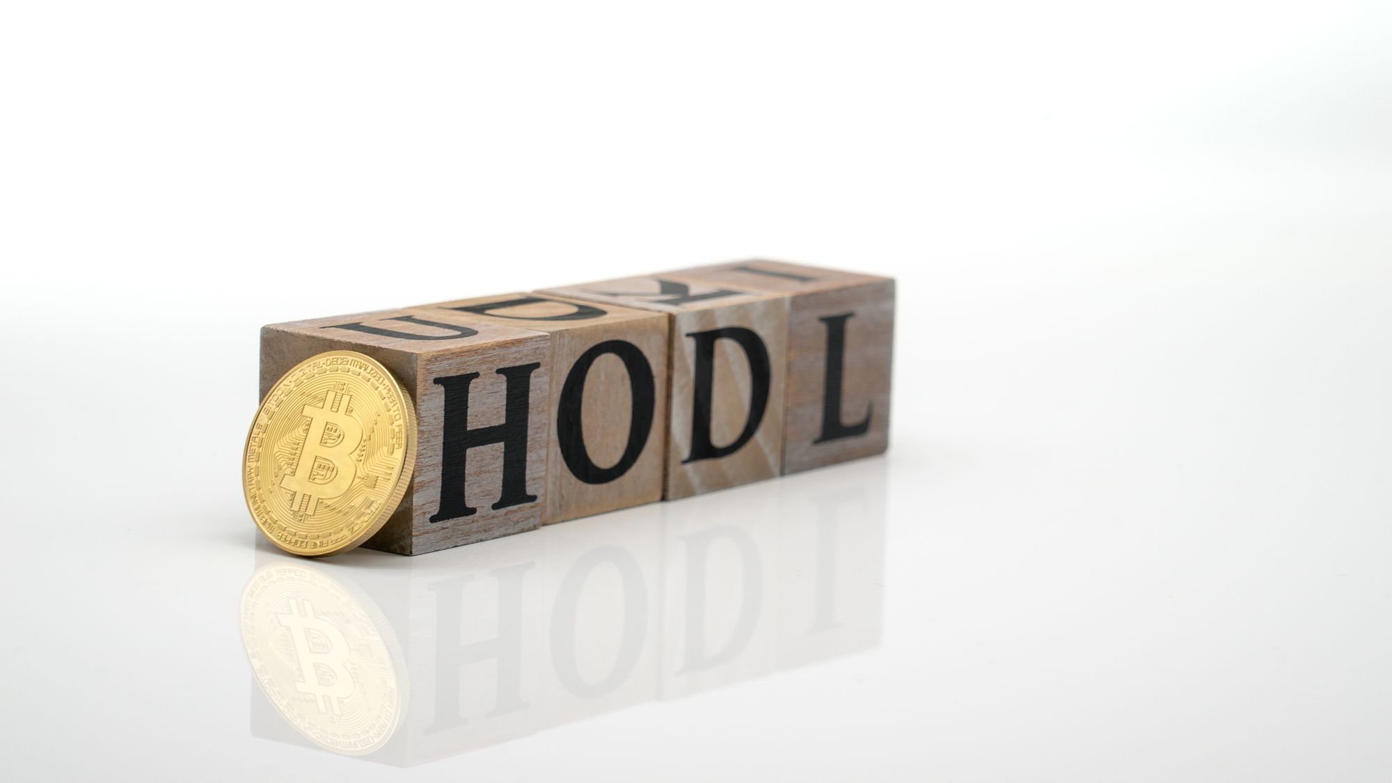 what is hodl bitcoin